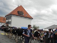 DSCN7650  The road got steep very suddenly!