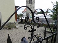 DSCN7662  Cowwie and Eeyore came with us of course!