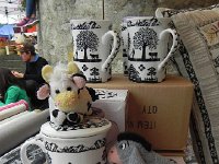 DSCN7665  Checking out the merchandise