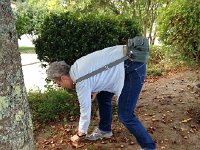 IMG 3248  And they are just lying around on the ground...