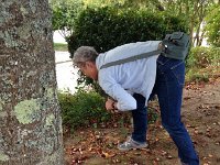 IMG 3249  FOR FREE!!