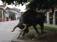 IMG 3265  Not sure quite what the bull is doing here