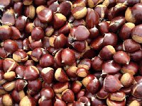 IMG 3269  Now here are marrons, chestnuts that one can eat!