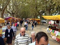 IMG 3272  and the market!