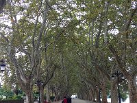 IMG 3274  but it ended quickly!