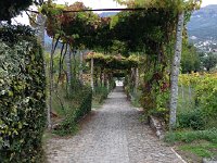 IMG 3281  Looking back down the deserted driveway