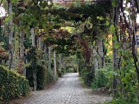 IMG 3283  WE looked and looked but found no one around.