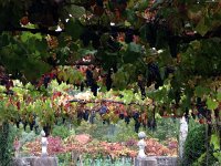 IMG 3284  We explored places with arguably public access