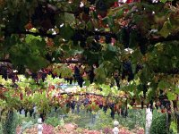 IMG 3285  Did we once have a poster like this in California?