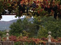 IMG 3286  The gate through which drove - it was wide open