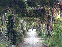 IMG 3288  Christine awaits