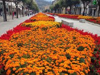 IMG 3310  We kept popping up in distant place, and it would need to &#34;recalculate&#34;