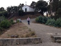 IMG 3326  Madame stretches her legs