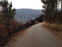 IMG 3331  This place burns a lot