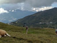 IMG 3168  Lounging above Kleine Scheidigg