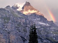 IMG 3181  Rainbow above Murren