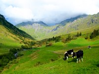 DSC09465  Outside of Mürren (County Cork?)