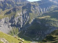 20160912 103531  Sheep and shape