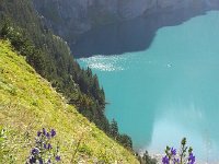 20160913 110138  flowers