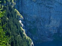 DSC09728  tree and waterfall