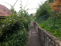 20160904 100403  4 September - Jumanji on the way to the garden