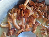 20160925 190057  chanterelle porn