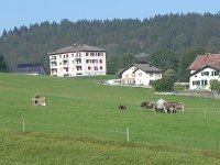 DSCN7468  What it looks like in the Jura