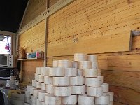 DSCN7553  the famous spruce boxes for Mont d&#39;Or