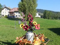 DSCN7554  Fall imagery