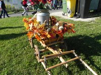 DSCN7555  cows en peluche