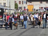 DSCN7558  And the parade of animals begins