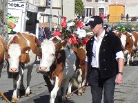 DSCN7559  Cows of course