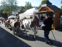 DSCN7562  Between the stands