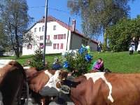 DSCN7563  Headdresses or sonnailles fleuris