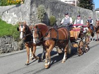 DSCN7565  Horses and wagons