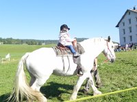 DSCN7581  Big animal, small human