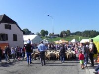 DSCN7583  off they go