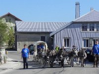 DSCN7584  Followed by 25 donkeys (really!) pulling a wagon