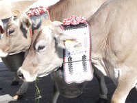 DSCN7591  ceremonial bells