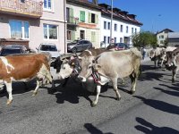 DSCN7595  but the bells were noisy!