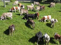 DSCN7599  Finally, something to eat!