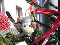 DSCN7603  Cowwie decides to get in the act