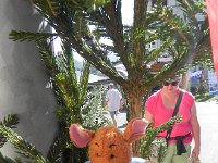 DSCN7605  and even Roo came along