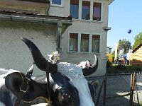 DSCN7607  Perched on the giant resin cow