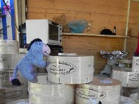 DSCN7612  Eeyore and Cowwie check out the Vacherin