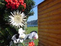 DSCN7617  They watched all the passers-by