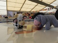 DSCN7619  That&#39;s a big cube of cheese for these guys!