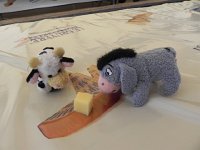 DSCN7620  Still thinking how to attack it