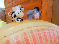 DSCN7626  Where to next?