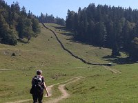 IMG 3106  Old stone walls lace the pastures